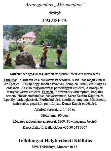 Aranygombos Muzeumfalu Faluseta